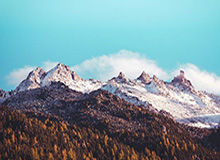 乐鱼体育下载-呱呱坠地便得魔术师拥抱 马修斯流淌着湖人血脉